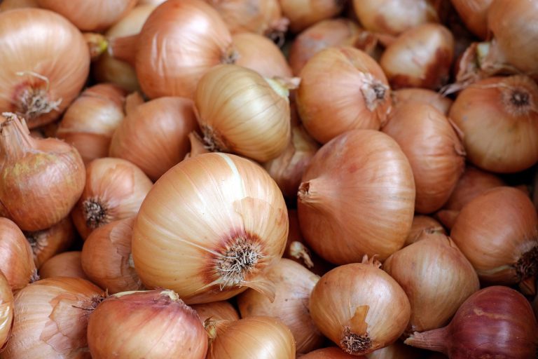 onions-1397037_1920